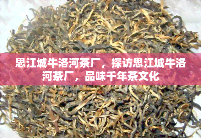 江城牛洛河普洱茶特征