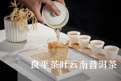 正宗良平普洱茶多少钱一盒