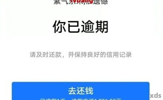 收到支付宝催还款该怎么办