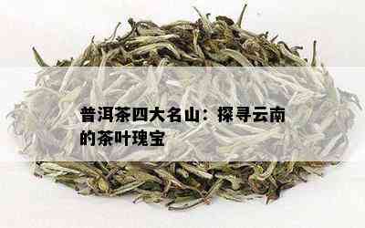 探索普洱茶的奥秘：名山名寨茶叶品种一览