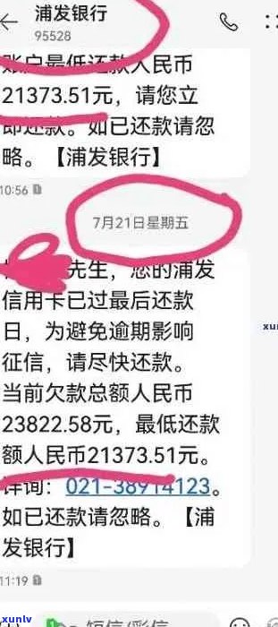 浦发银行欠款29万应该怎么处理