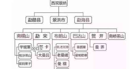 西双版纳普洱茶十大名牌全解析：品质、口感、价格与购买指南一次看清