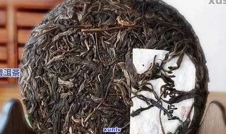 '西双版纳普洱茶真伪鉴别：品质优良的真茶还是假冒之物？'