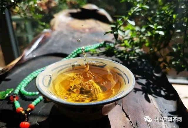 龙园茶业珍藏版金不换普洱茶：古树韵味，纯正口感，品鉴宴