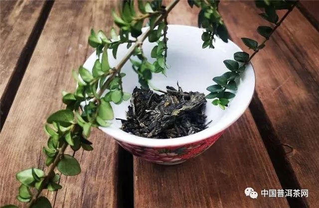 龙园茶业珍藏版金不换普洱茶：古树韵味，纯正口感，品鉴宴