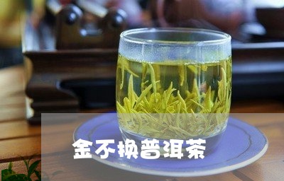 龙园茶金不换普洱茶价格