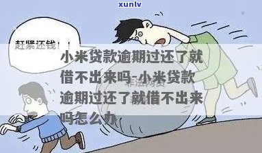 小米逾期还款应该怎么办