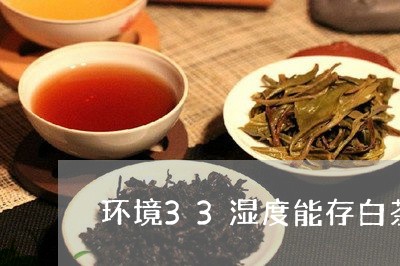 茶叶的吸湿性与绝对湿度相关：探讨茶叶对环境湿度的影响