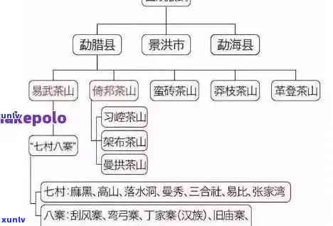 中茶03年班章古树茶区：品种、产地、口感、年份等全方位解析与品鉴指南