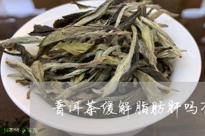 普洱茶与脂肪肝：神奇的减脂良方？