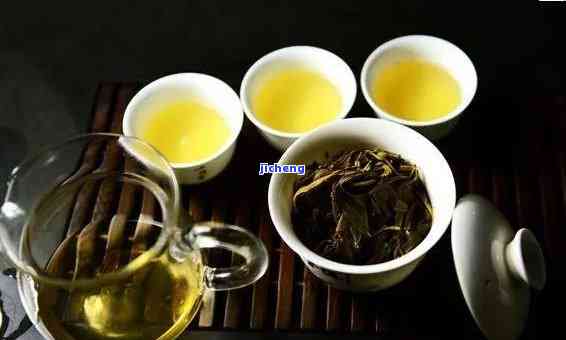 临沧的大普洱茶是什么茶啊？价格与品质解析