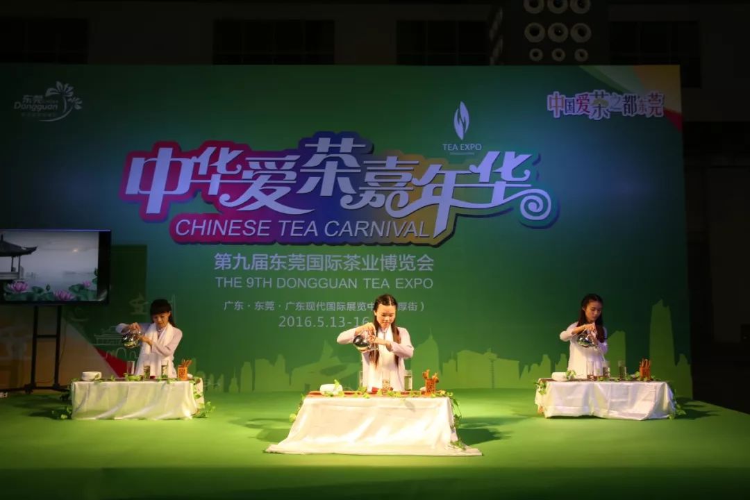 临沧茶一览：探索云南茶叶的魅力与口感