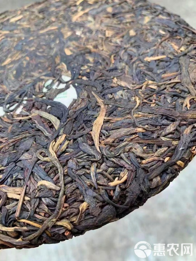 临沧的大普洱茶是什么茶