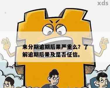 分期贷逾期一天将会发生什么