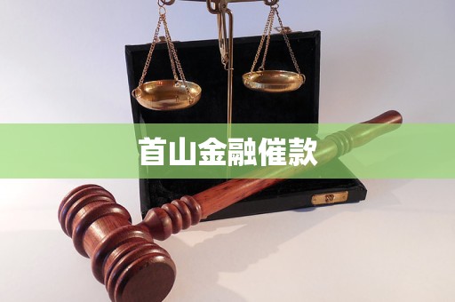 首山金融未归还借款