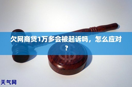 网商贷欠20万起诉后会怎么样