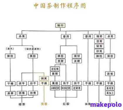 易武弯茶：品种、品质、价格及购买途径全方位解析