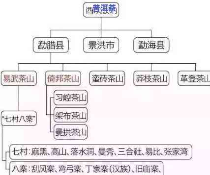 易武弯地理位置：在哪里，海拔高度，普洱茶口感特点及评价。