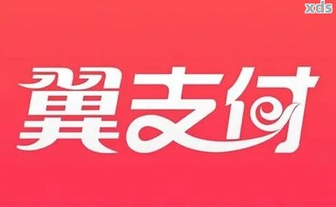 翼支付逾期一年多了怎么办