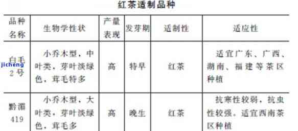 新 中小叶种红茶：一种特色茶叶品种及其制作工艺探讨