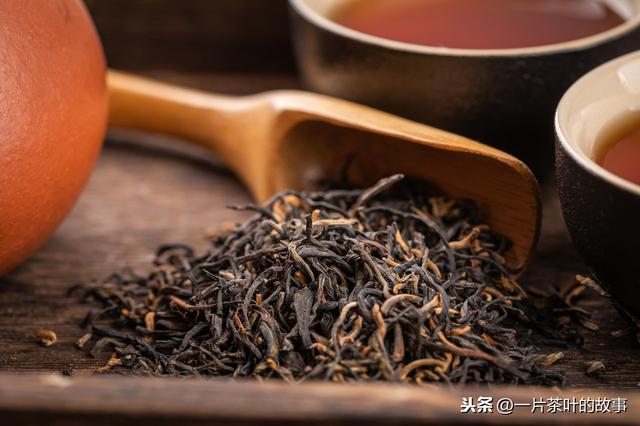 中小叶种红茶品种详解：从原料到口感的一次深度探索