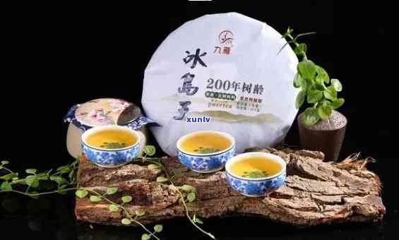 冰岛古茶的独特风味与文化内涵