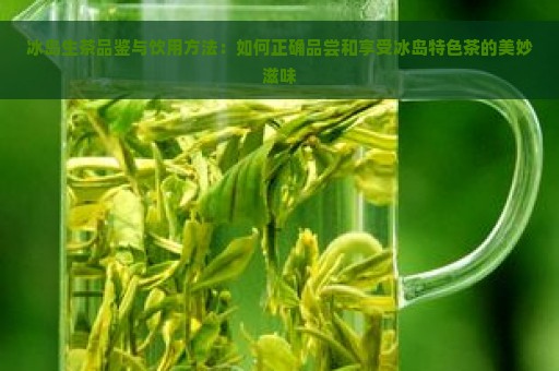 冰岛特产绿茶的高品质与独特魅力：价格解析与品鉴指南