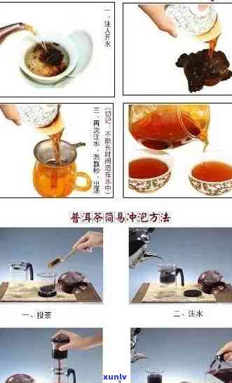 掌握科学方法：如何优雅地品鉴普洱茶