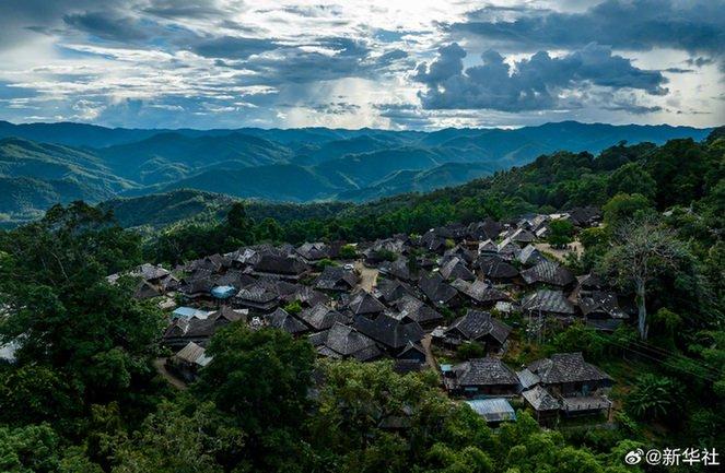 中国普洱茶山