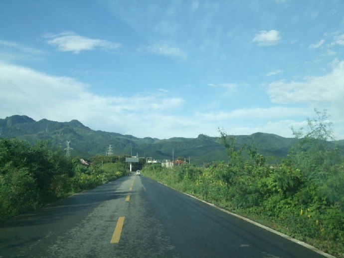 中国普洱茶山