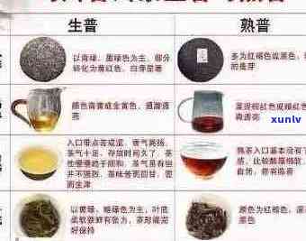 靠谱普洱茶排名