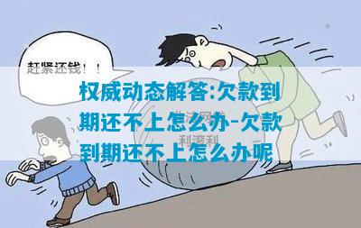 我该怎么办欠还不上