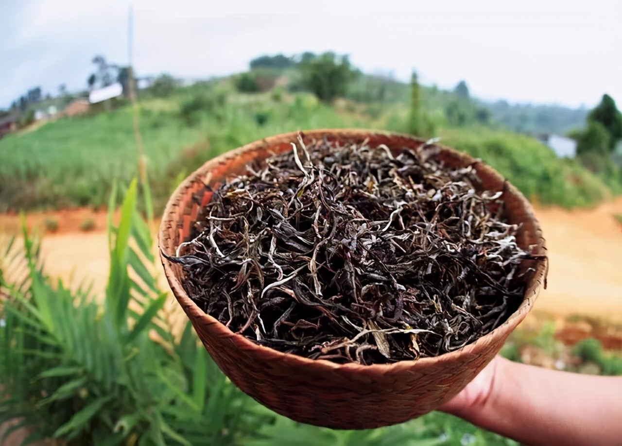 '普洱茶生茶与熟茶价格差异：多少？一样吗？'