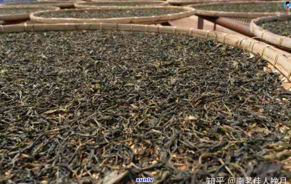 大益洞天福地：品茗开的全面指南与体验分享