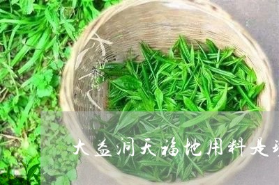 洞天福地大益茶