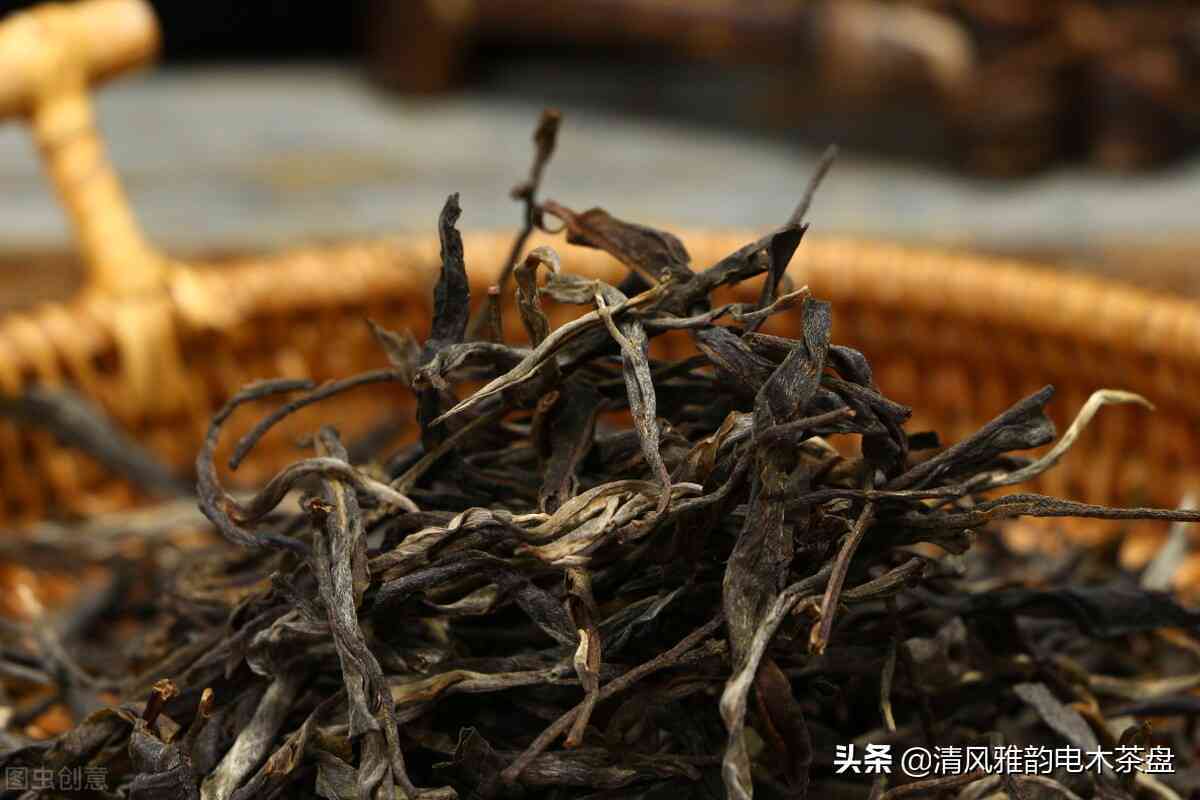 铁饼普洱茶制作的关键原料及其特点分析