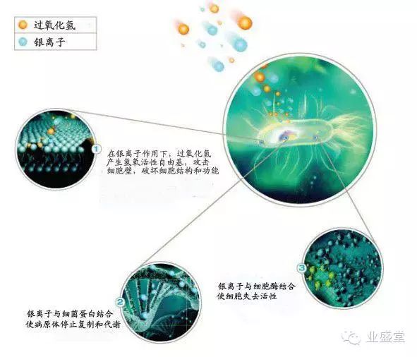 银离子的多种功效及其在不同领域的应用：释放、抗菌、抗氧化等