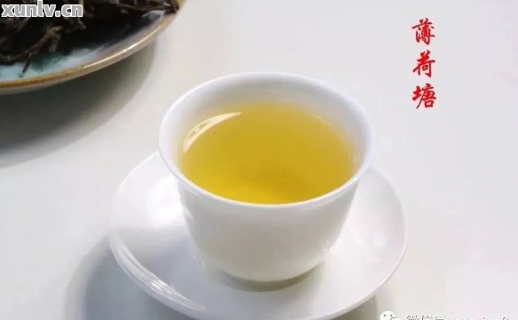 薄荷糖普洱茶300年了能喝吗