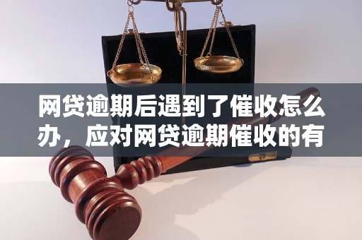 网贷逾期处理攻略