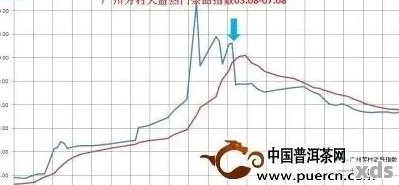 10年熟普洱茶价格走势分析与市场前景探讨