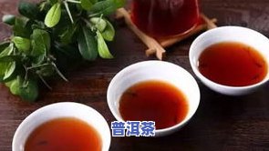 普洱茶又被称为什么菜