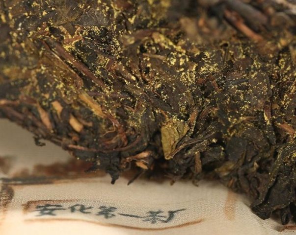 普洱茶、黑茶：两种茶叶之间的独特关系探究