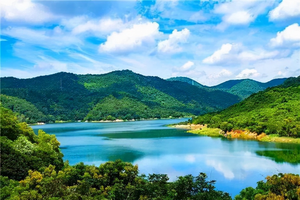 福建普洱茶冲泡方法详解：如何根据不同阶选择泡法，让茶香四溢