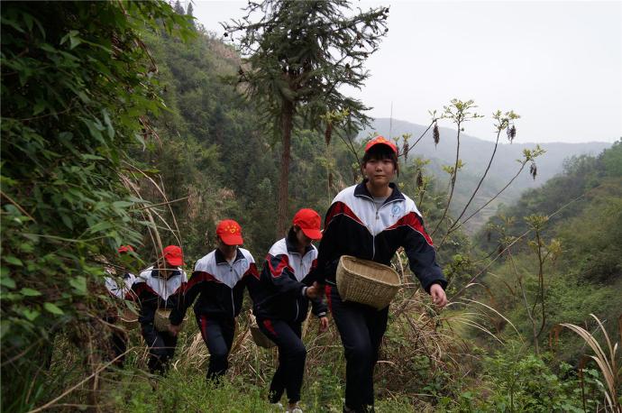 福建普洱茶冲泡方法详解：如何根据不同阶选择泡法，让茶香四溢