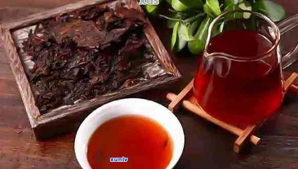 过夜普洱熟茶：隔夜饮是否适宜？如何正确保存普洱茶？