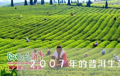 07年的生普洱茶可以喝吗？2007年生普洱茶价值评估及品鉴