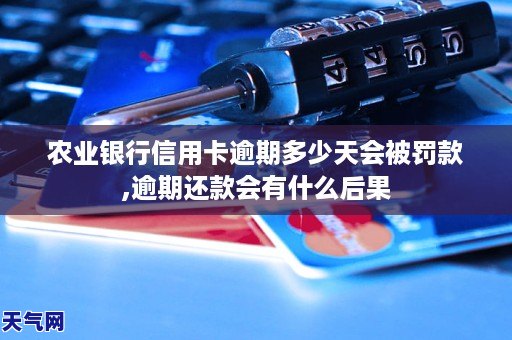 农业银行信用卡逾期被报案怎么办