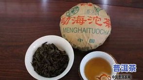 大益熟普洱茶系列对比：哪个系列口感更佳？