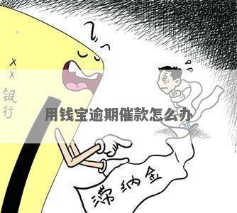 用钱宝借贷逾期了怎么办