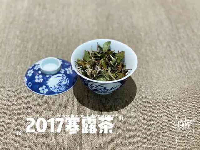 普洱白茶价格查询：好的普洱白茶多少钱一斤？普洱老白茶价格和特点口感